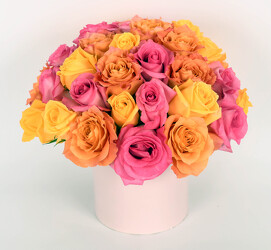 36 Bright Colored Roses from Mockingbird Florist in Dallas, TX