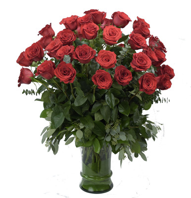  48 Of Our best Long Stem Roses   INTERNET SPECIAL from Mockingbird Florist in Dallas, TX