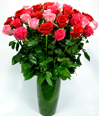 36 Assorted Pink and Red Roses from Mockingbird Florist in Dallas, TX