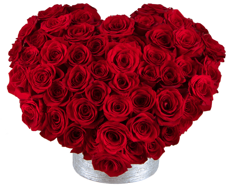 <h1> With Love: 50 Red Roses  </h1> from Mockingbird Florist in Dallas, TX