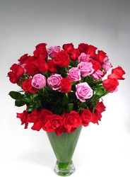 <h1>The Show : 75 Roses - INTERNET SPECIAL</h1>  from Mockingbird Florist in Dallas, TX