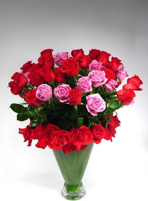 <h1>The Show : 75 Roses - INTERNET SPECIAL</h1>  from Mockingbird Florist in Dallas, TX