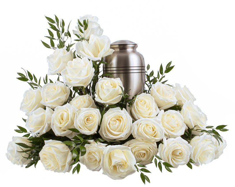<H1> White Rose Cremation </h1>  from Mockingbird Florist in Dallas, TX