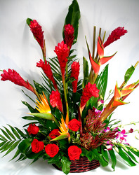 <H1> Tropical Sympathy Basket </H1>  from Mockingbird Florist in Dallas, TX