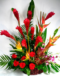 Tropical Sympathy Basket from Mockingbird Florist in Dallas, TX