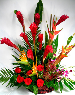 Tropical Sympathy Basket from Mockingbird Florist in Dallas, TX