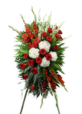 <H1> Holy Star </H1> from Mockingbird Florist in Dallas, TX