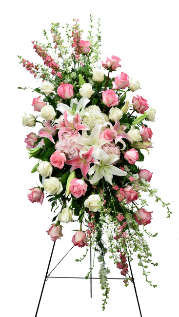 <h1> Pink Radiance </h1>  from Mockingbird Florist in Dallas, TX