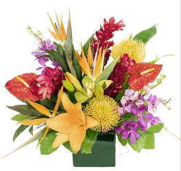 <H1> Botanical Breeze </h1> from Mockingbird Florist in Dallas, TX