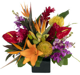 <H1> Botanical Breeze </h1> from Mockingbird Florist in Dallas, TX