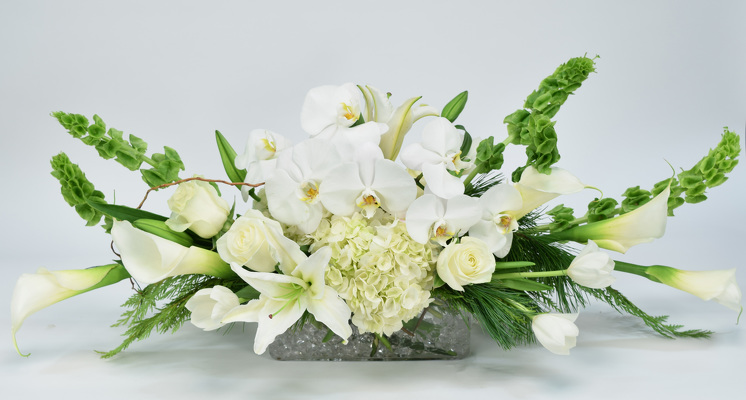 <H1> White Christmas </H1>  from Mockingbird Florist in Dallas, TX