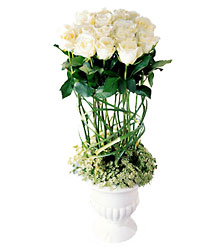 Pavilion Rose Bouquet from Mockingbird Florist in Dallas, TX