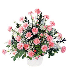  <H1> Meditation Arrangement </h1>  from Mockingbird Florist in Dallas, TX