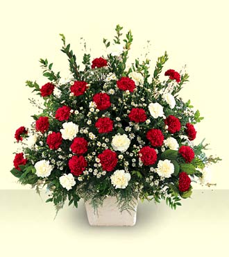 <H1> Devotion Arrangement </H1>  from Mockingbird Florist in Dallas, TX