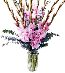 FTD Exotic Glory Bouquet from Mockingbird Florist in Dallas, TX
