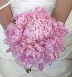 Wedding Bouquets from Mockingbird Florist in Dallas, TX