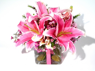 Simply Pink from Mockingbird Florist in Dallas, TX