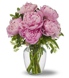 Peonies in Pink from Mockingbird Florist in Dallas, TX