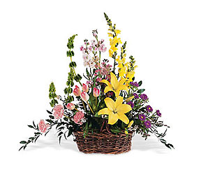 Spring Splendor Sympathy Flowers from Mockingbird Florist in Dallas, TX