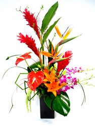 <h1> Stardust </h1>  from Mockingbird Florist in Dallas, TX