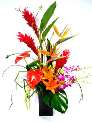 <h1> Stardust </h1>  from Mockingbird Florist in Dallas, TX